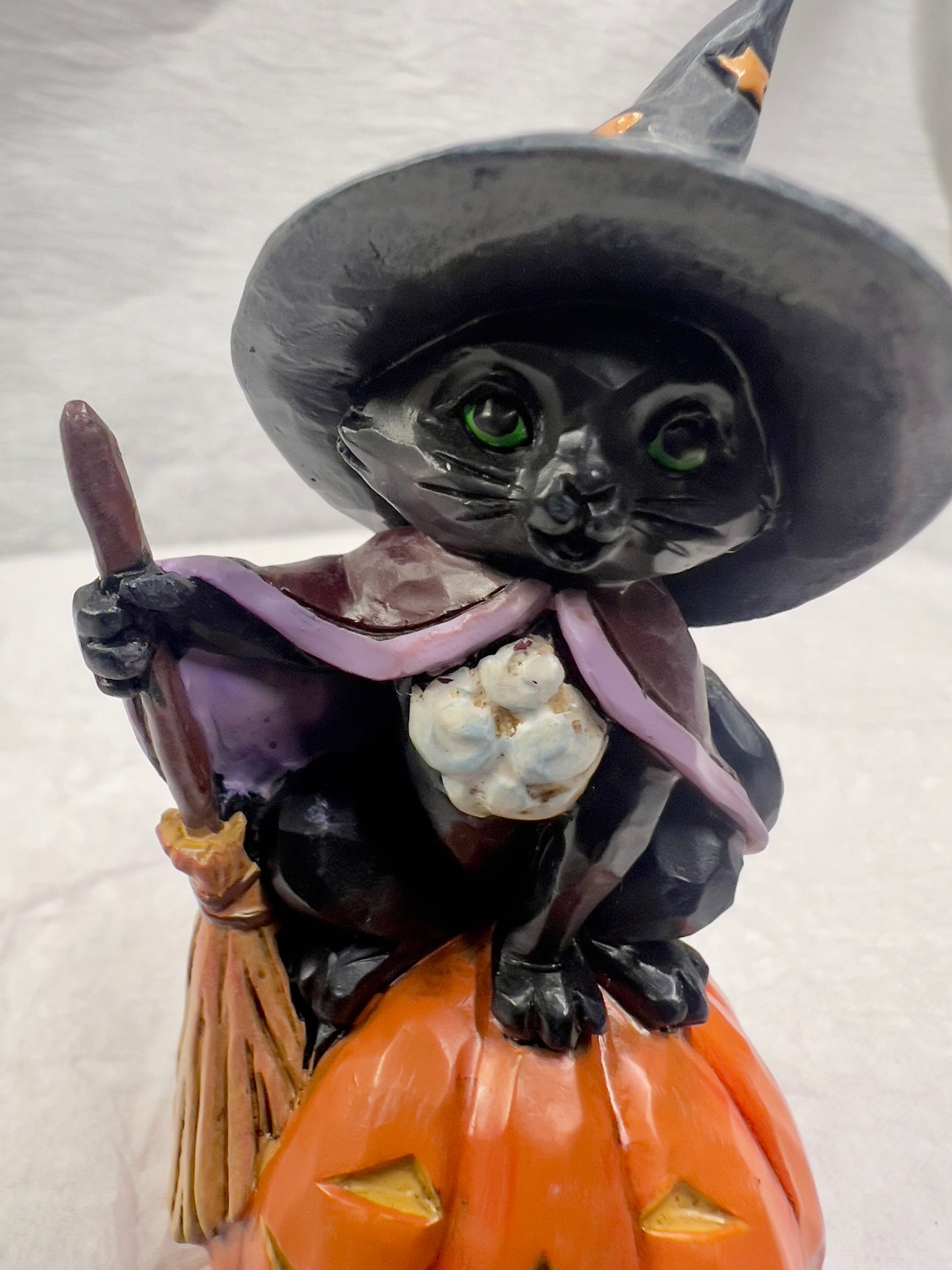 Black Cat on Pumpkin