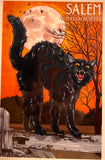1000 Piece Salem Puzzle